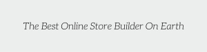 best online store builder