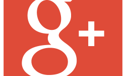 How Online Merchants Should Use Google+